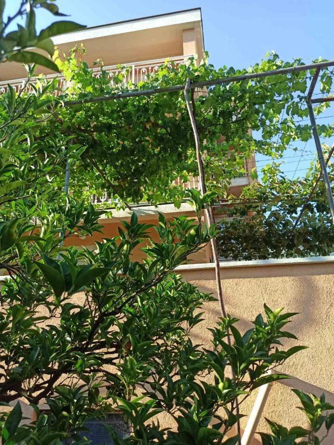 Apartments Parapid บุดวา ภายนอก รูปภาพ